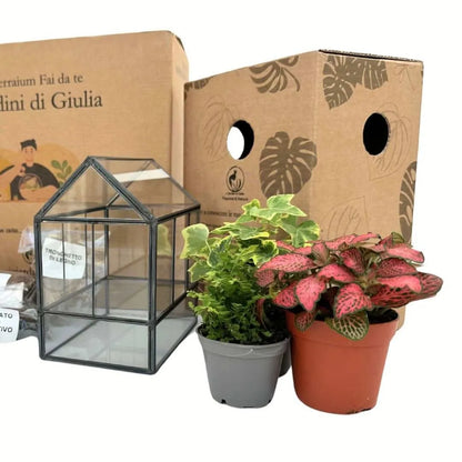 DIY Geometrisches Terrarium-Set Monica | Gestalte deinen eigenen Indoor-Garten
