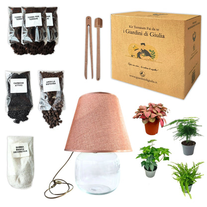 Lamparium Terrarium-Kit Groß mit Grünpflanzen