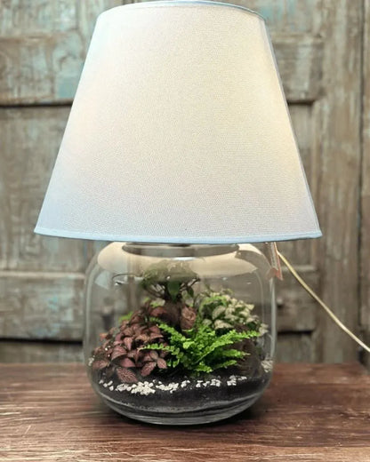 Lamparium Terrarium-Kit Groß mit Grünpflanzen