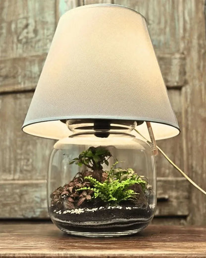 Lamparium Terrarium-Kit Groß mit Grünpflanzen