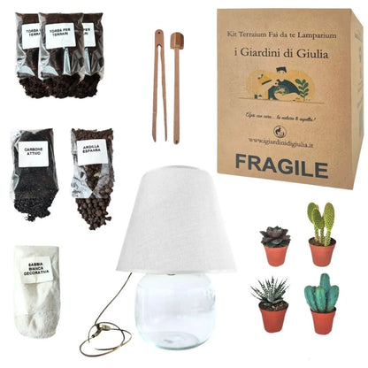 Kit Terrarium Lamparium Grande con piante grasse
