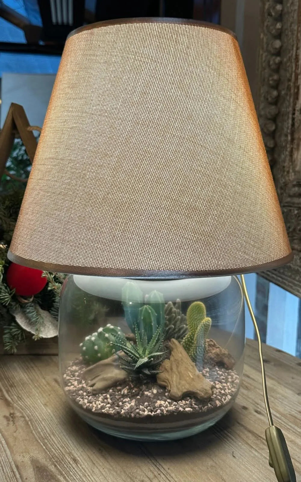 Kit Terrarium Lamparium Grande con piante grasse