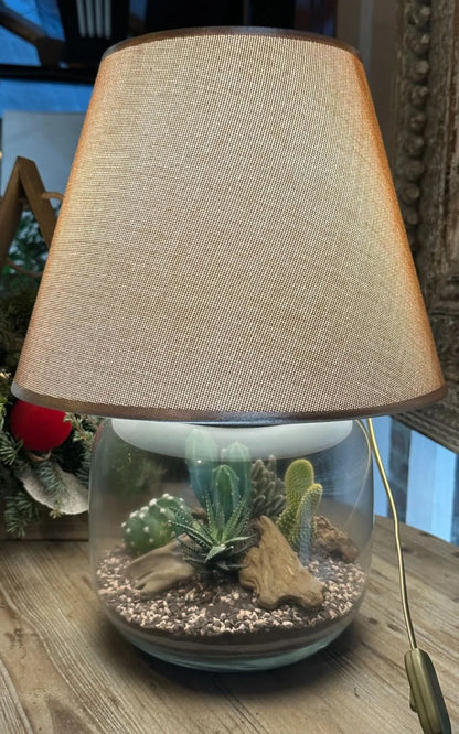 Kit Terrarium Lamparium Grande con piante grasse