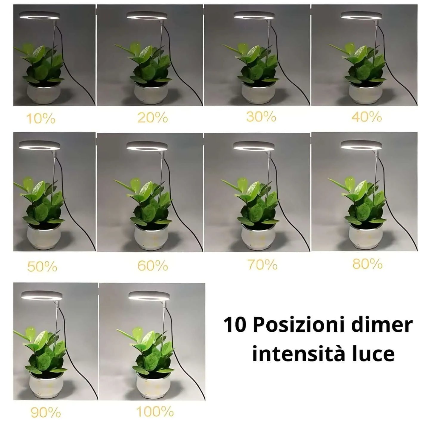 LumiFlora - Lampada LED Dimmerabile Telescopica per Terrarium, Bonsai, Piante Carnivore e da Scrivania