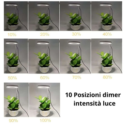 LumiFlora - Lampada LED Dimmerabile Telescopica per Terrarium, Bonsai, Piante Carnivore e da Scrivania