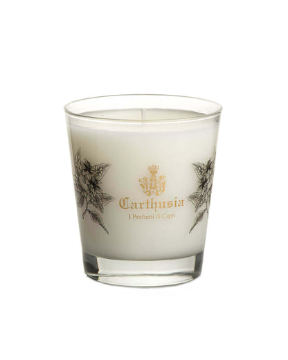 Mediterranean Oud Candela