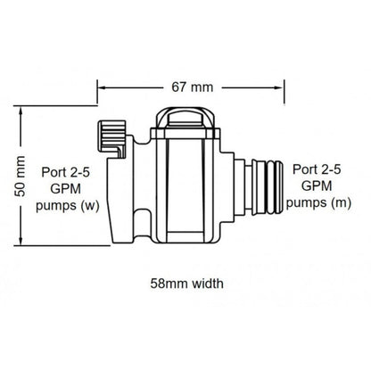 Flojet Filtro Portagomma 1/2'