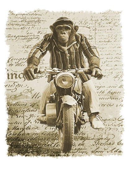 Monkey Dream Moto - T-shirt Uomo Urban 100% Cotone