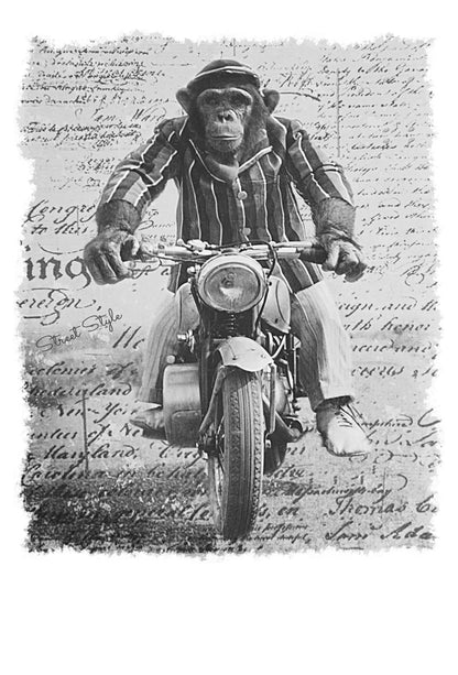 Monkey Dream Moto - T-shirt Uomo Urban 100% Cotone