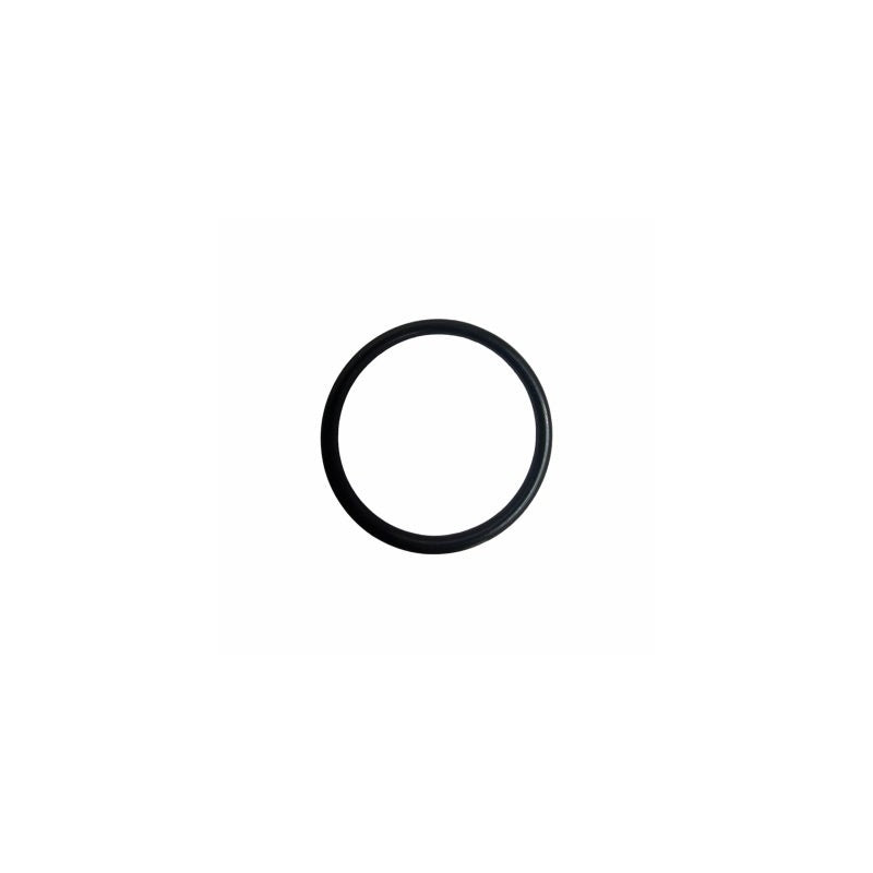 Jabsco O-Ring X4020-257A