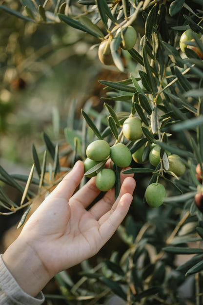 CREMA DETERGENTE IDRATANTE VISO