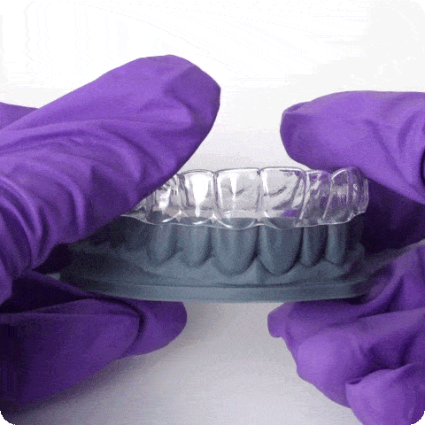 Phrozen Resin Dental Ortho Model (1KG)