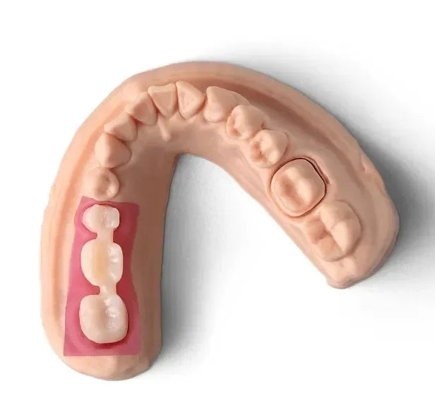 Phrozen Resin Gingiva Mask (0.5KG)