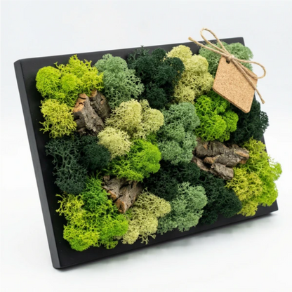 Mini-Bild aus stabilisiertem Moos und Flechten 14,5x24,5 cm – Schwarzer Rahmen | Hergestellt in Italien