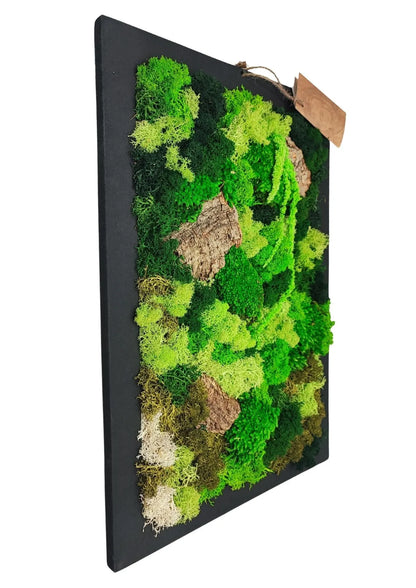Quadro Rettangolare di Muschio e Licheni Stabilizzati  30x40 cm