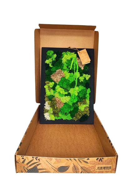 Quadro Rettangolare di Muschio e Licheni Stabilizzati  30x40 cm