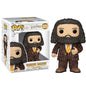 Funko Pop! Harry Potter - (171) Rubeus Hagrid Pet Outfit Figure Vinyl 15cm