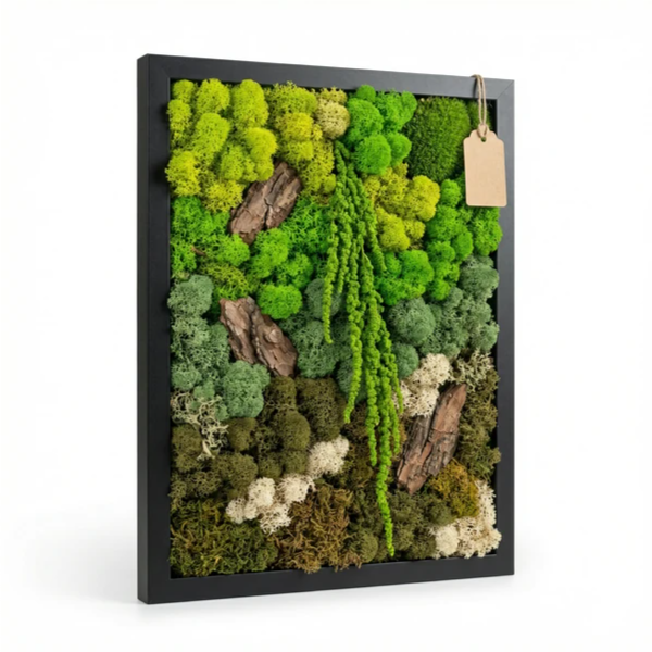 Bild aus stabilisiertem Moos und Flechten 35x50 cm – EcoMosaico | Made in Italy