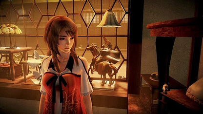 Fatal Frame Maiden Of Black Water PS4 Video Game PlayStation Game Import PS5
