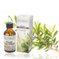 Tea Tree Essential Oil Antiseptic and Antifungal Purifying Body Fragrance