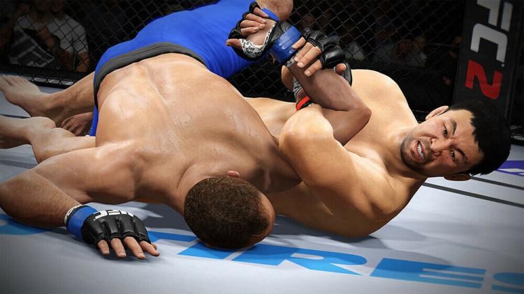 Ufc 2 Ps4 Deutsch Videospiel Playstation 4 Kampf Pal Fighterz Neu Versiegelt