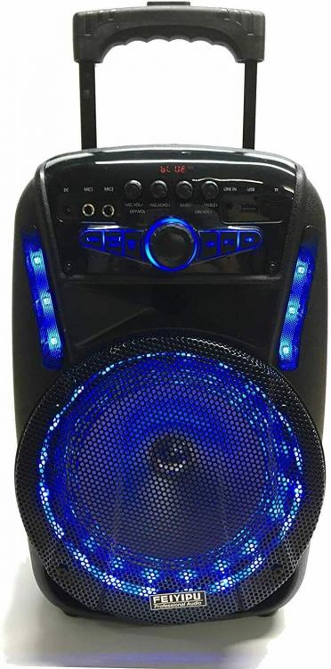VERSTÄRKTER KARAOKE-LED-LAUTSPRECHER 300W PMPO BLUETOOTH USB SD MIKROFON UND FERNBEDIENUNG