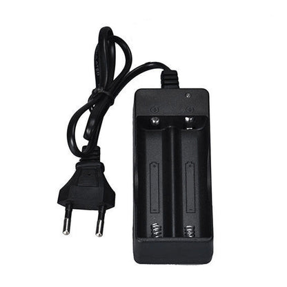 CARICA BATTERIA CARICABATTERIE BATTERIE PILE RICARICABILE 3.7V