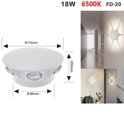 APPLIQUE LED 6 COB LAMPADA PARETE ROTONDO 18W BIANCO FREDDO 6500K ESTERNO FD-20*