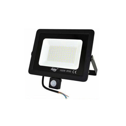 FARO LED FARETTO GIARDINO 100W LUCE FREDDA SENSORE MOVIMENTO CREPUSCOLARE