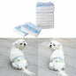 Dog Diapers Absorbent Hygienic Nappies Pants Period Dogs Cats Size M