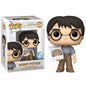 Funko Pop ! Harry Potter (174) - Harry W / Birthday Cake Special Edition