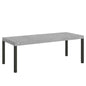 Everyday Extendable Table P.90