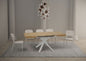 Clerk Extendable Table 90 cm with Extension Up to 194 cm