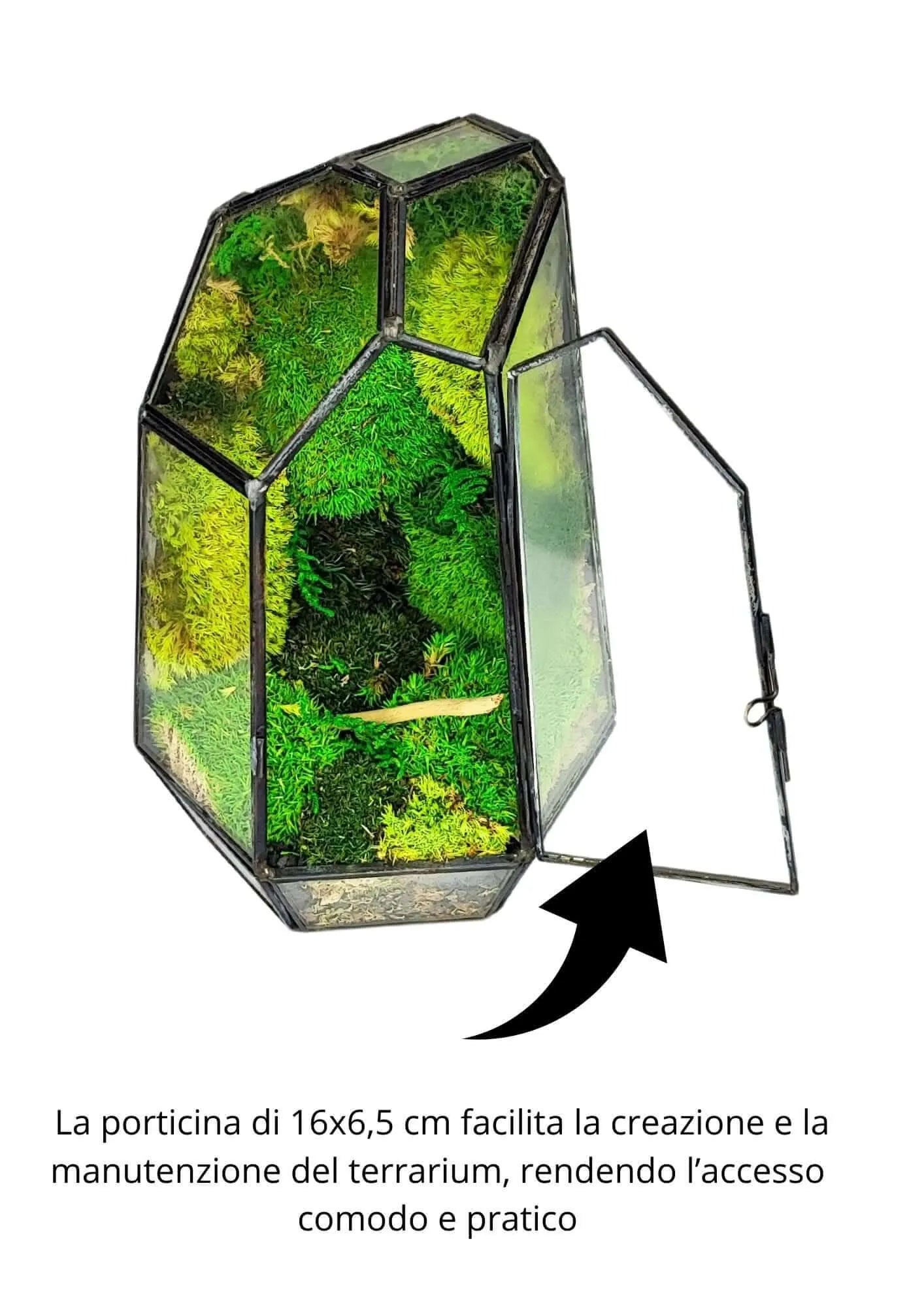 Geometrisches Terrarium Smaragdkristall 2TR072
