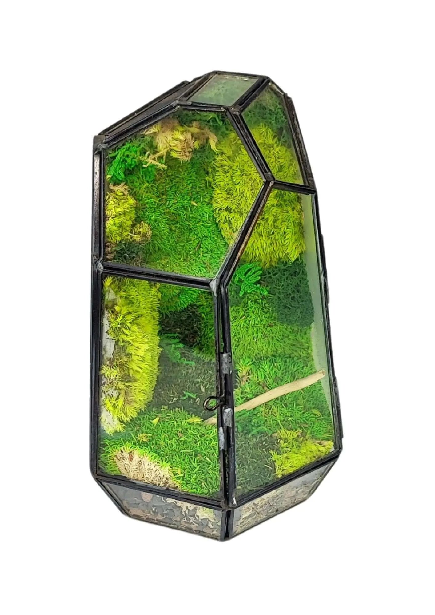 Geometrisches Terrarium Smaragdkristall 2TR072