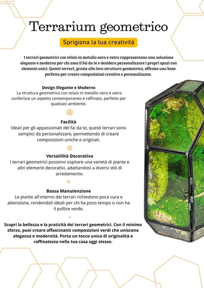 Geometrisches Terrarium Smaragdkristall 2TR072