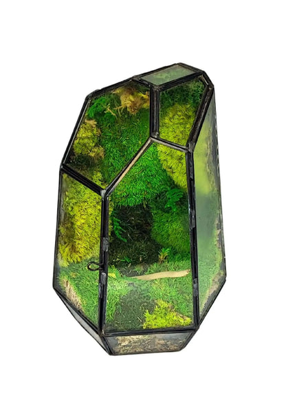 Geometrisches Terrarium Smaragdkristall 2TR072