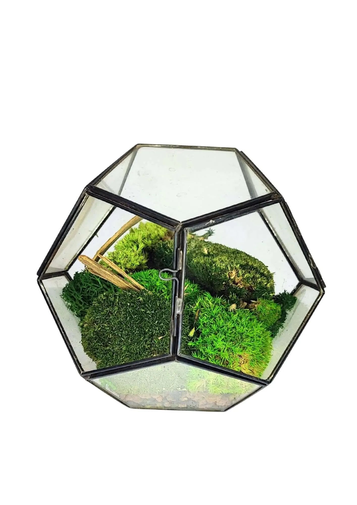 Geometrisches Terrarium Kristallgarten 2TR070