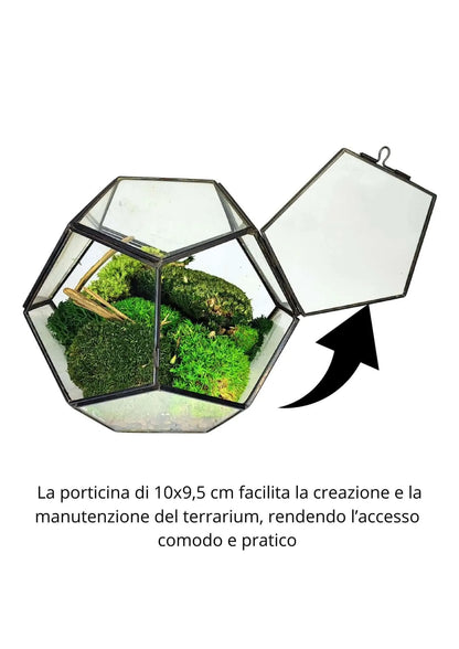 Geometrisches Terrarium Kristallgarten 2TR070