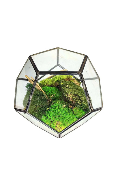 Geometrisches Terrarium Kristallgarten 2TR070