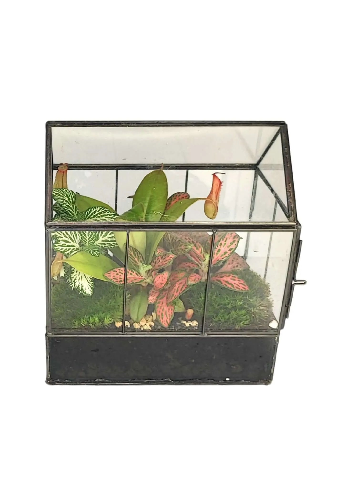 Terrarium geometrico Micro Oasi 2TR062
