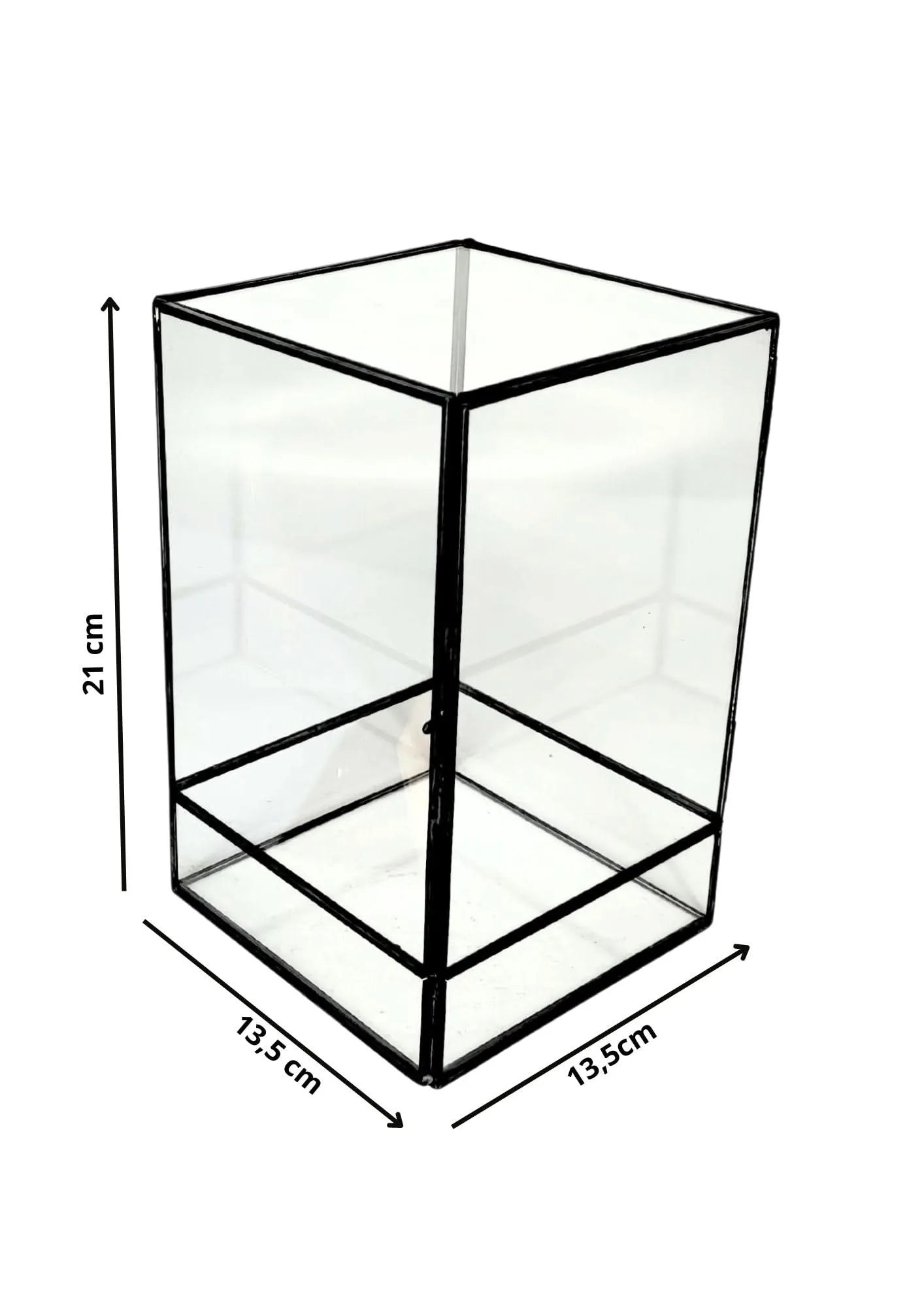 Geometrisches Terrarium Paradiso Naturale 2TR076