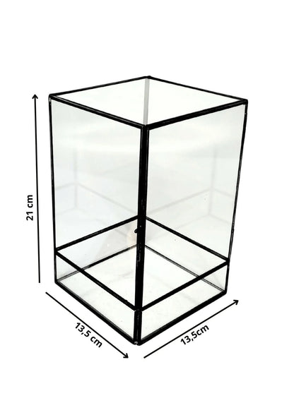 Geometrisches Terrarium Paradiso Naturale 2TR076