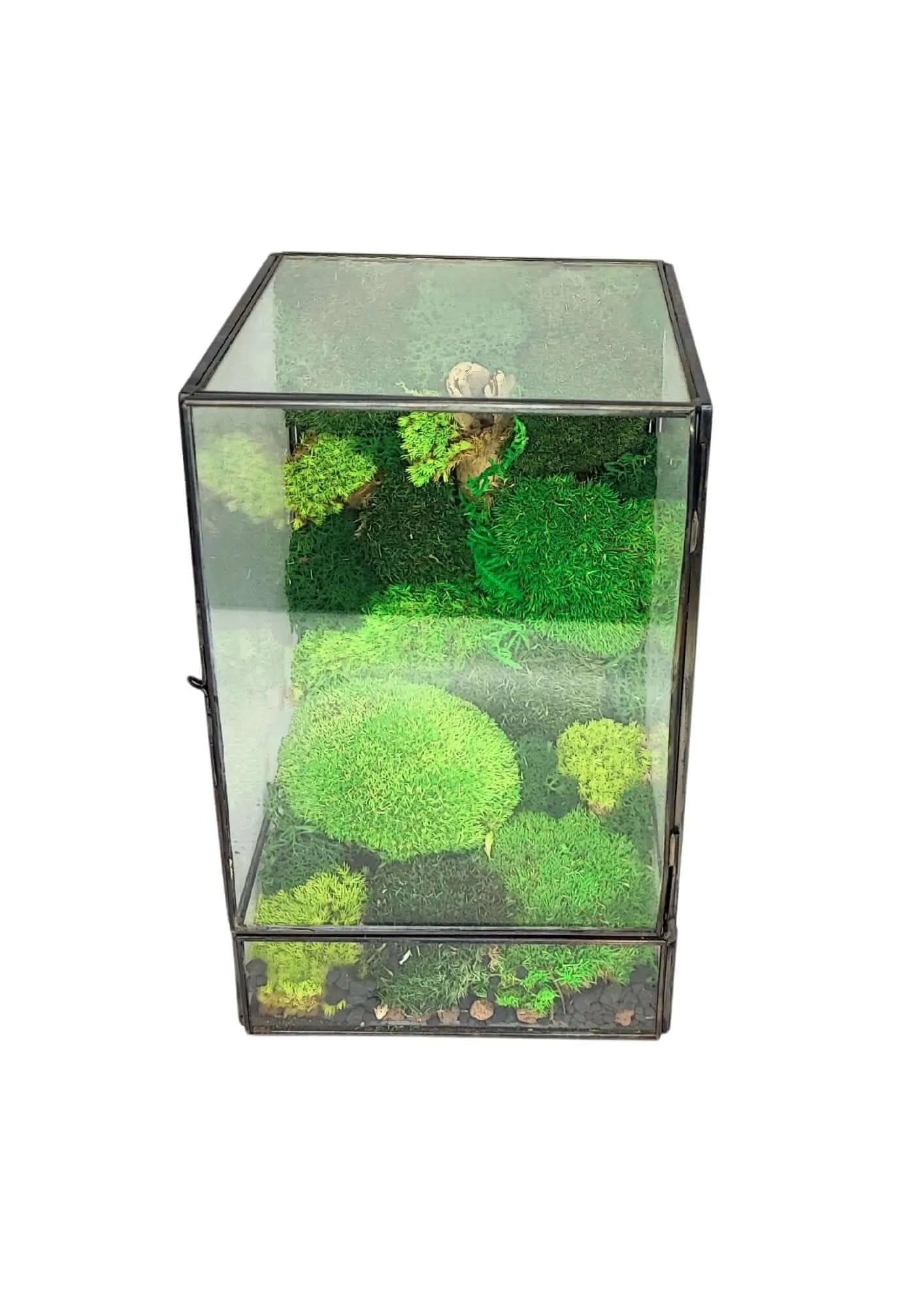 Geometrisches Terrarium Paradiso Naturale 2TR076