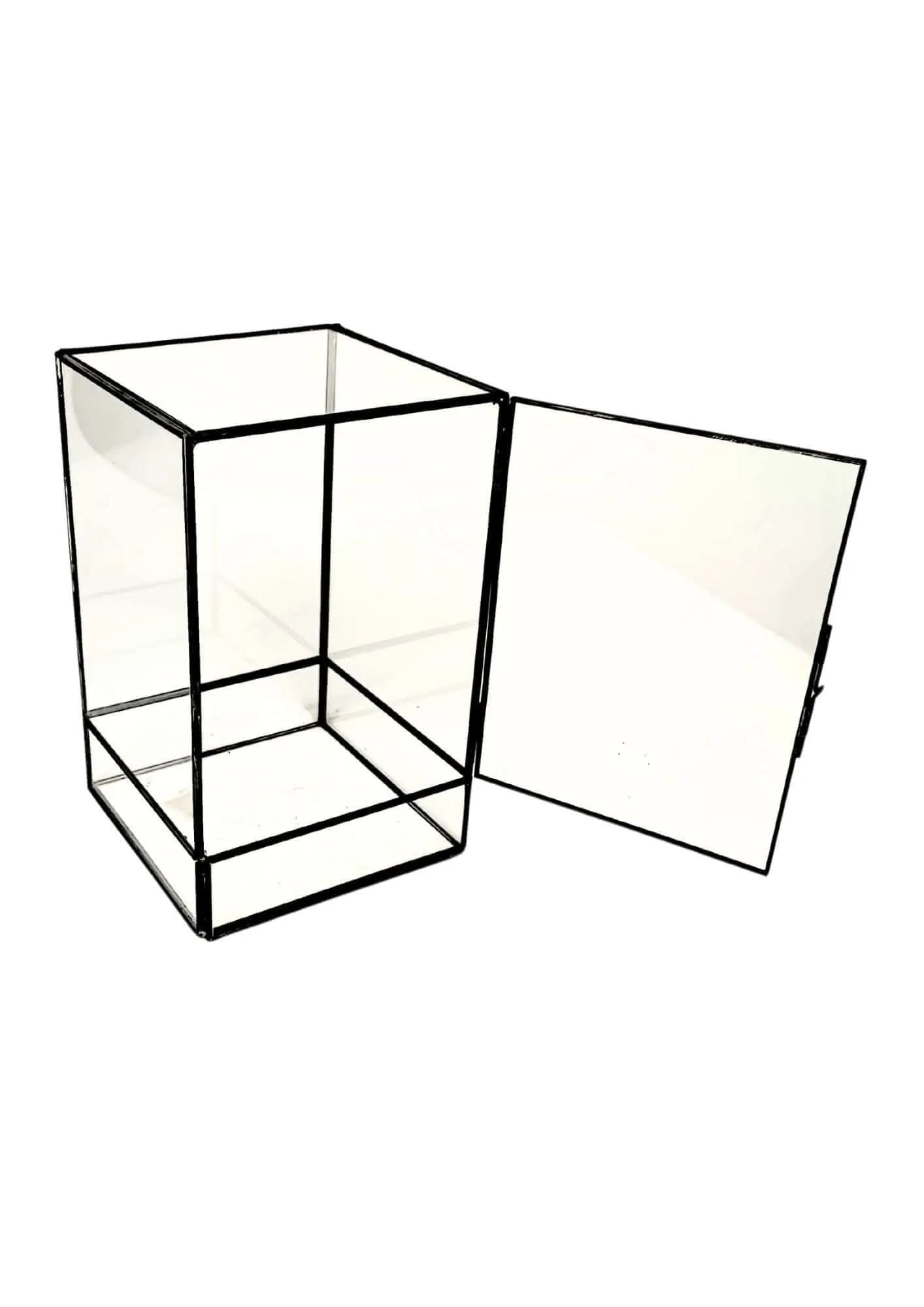 Geometrisches Terrarium Paradiso Naturale 2TR076