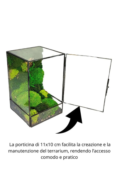 Geometrisches Terrarium Paradiso Naturale 2TR076