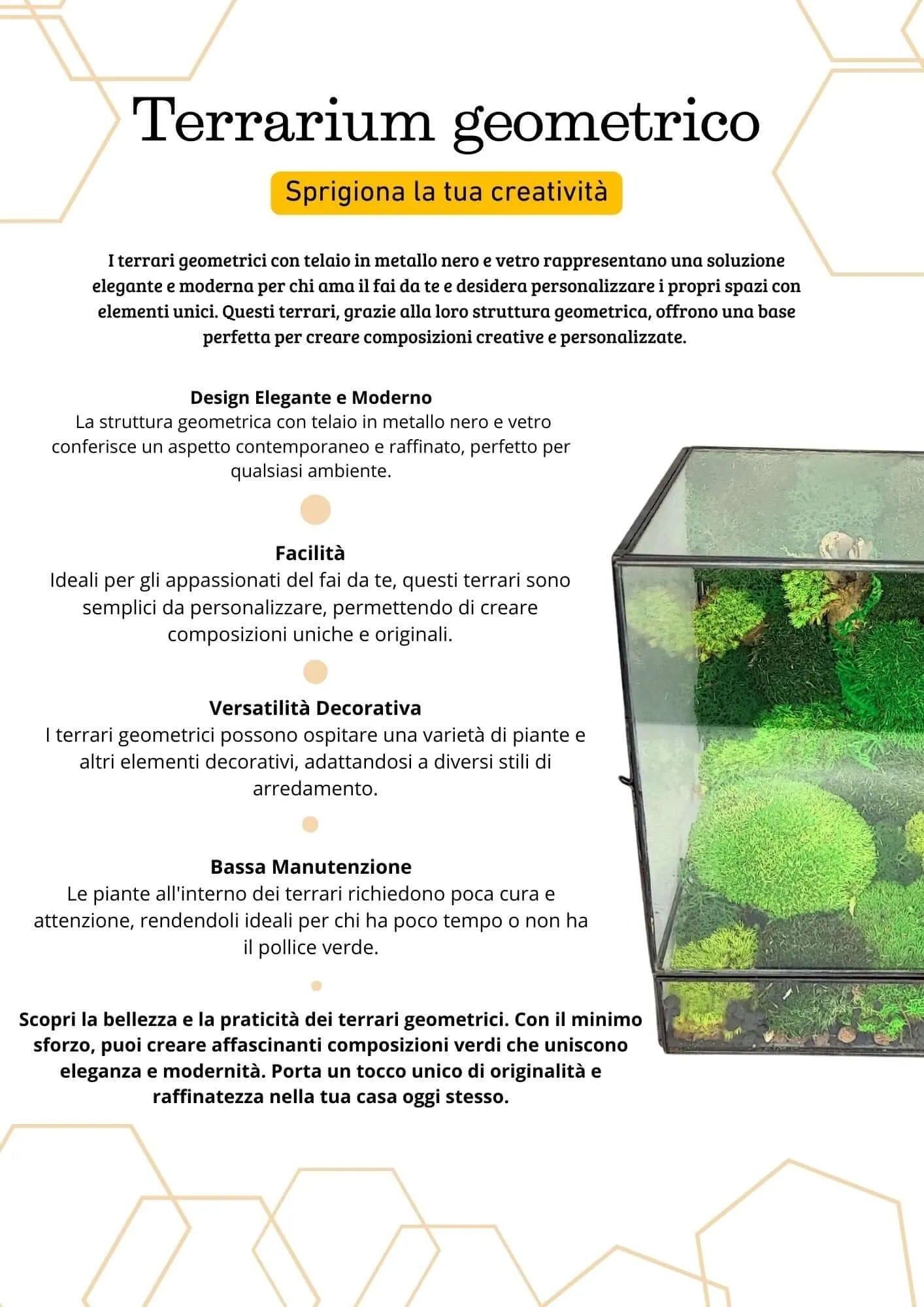 Geometrisches Terrarium Paradiso Naturale 2TR076