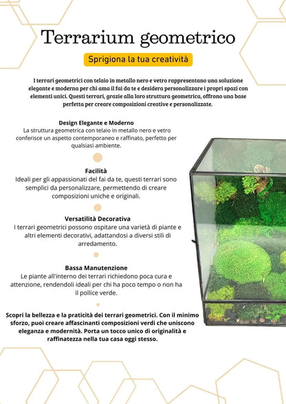 Geometrisches Terrarium Paradiso Naturale 2TR076