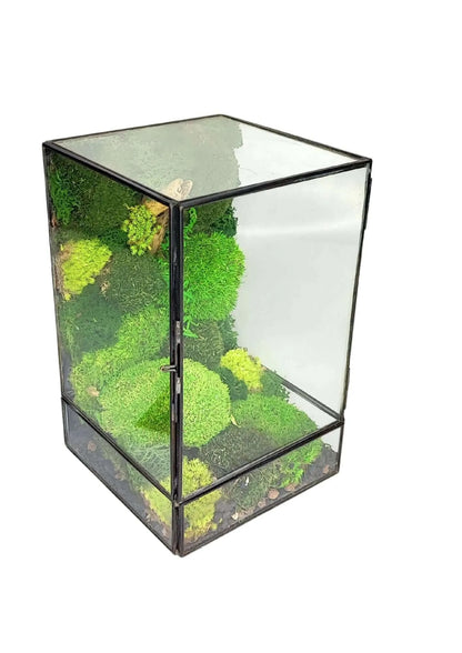 Geometrisches Terrarium Paradiso Naturale 2TR076