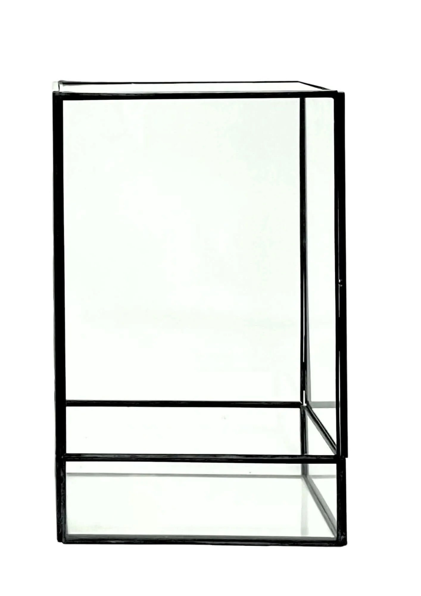 Geometrisches Terrarium Paradiso Naturale 2TR076